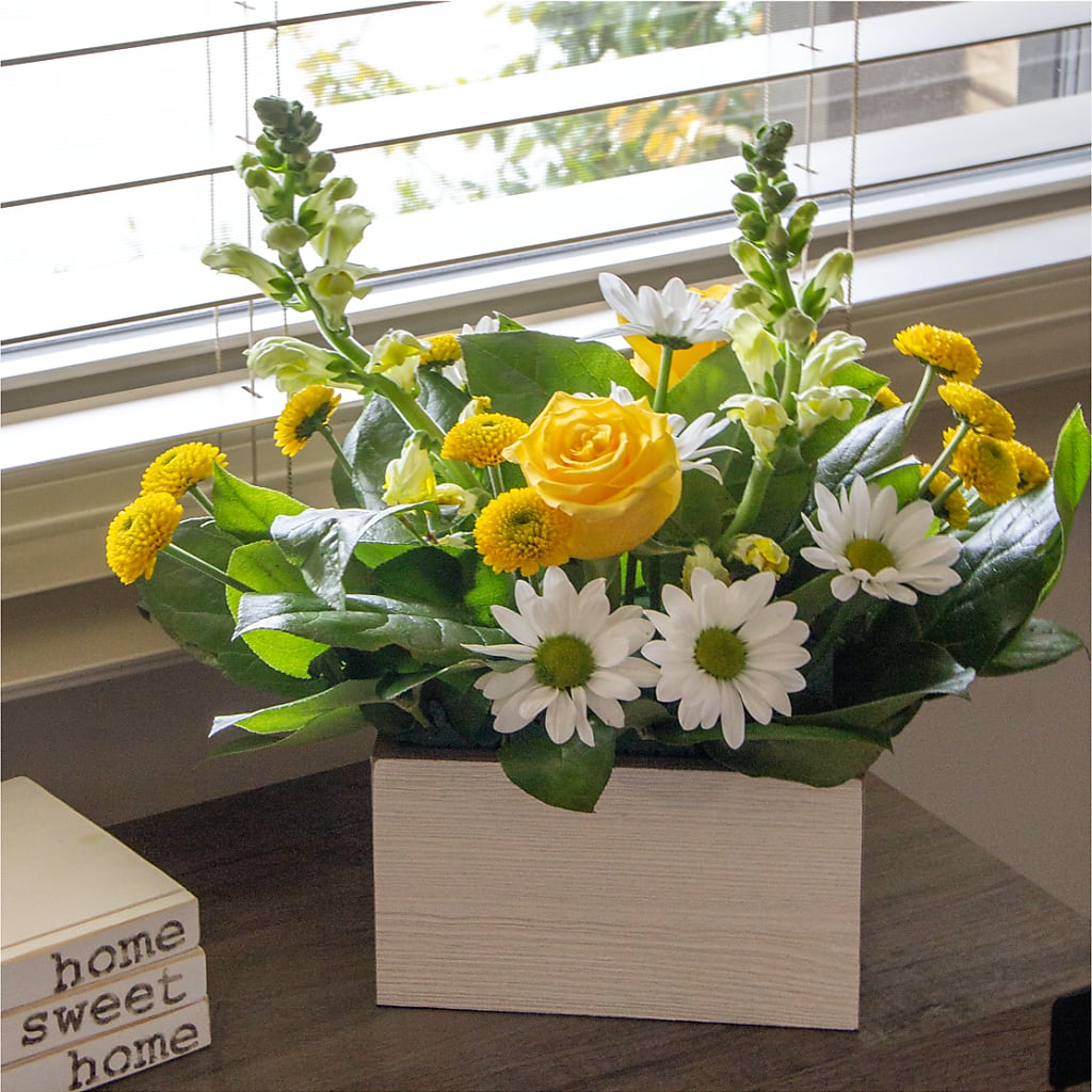 Sun Salutation Box Bouquet – Kiss Floral Llc, Claymont DE