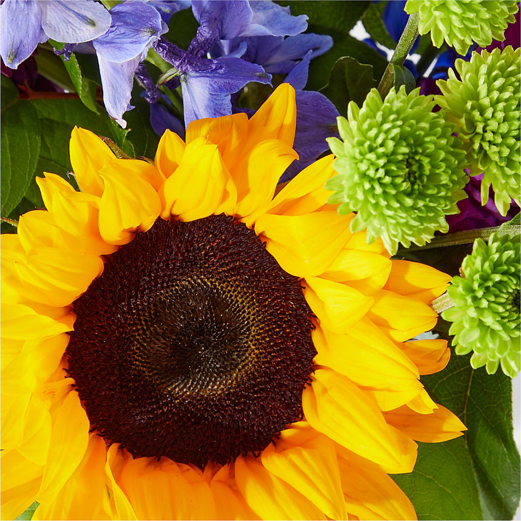Catching Rays Bouquet – Kiss Floral Llc, Claymont DE