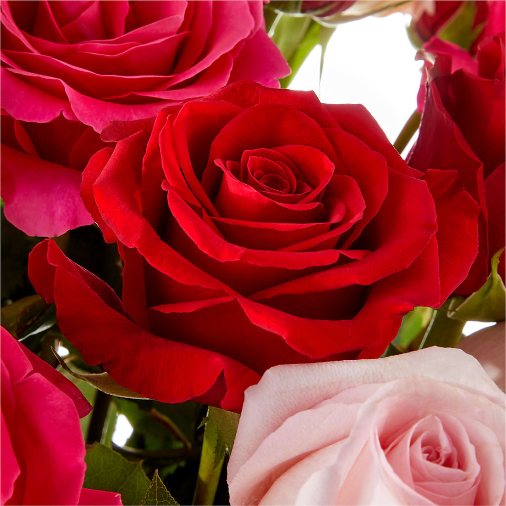 Love Notes Rose Bouquet – Kiss Floral Llc, Claymont DE