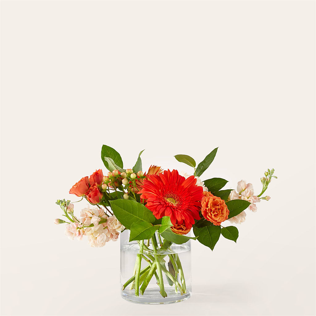 Paloma Please Bouquet – Kiss Floral Llc, Claymont DE