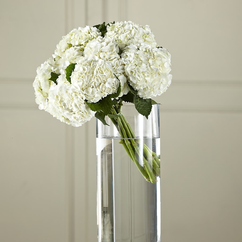 White Hydrangea Hand-Tied Bouquet – Kiss Floral Llc, Claymont DE