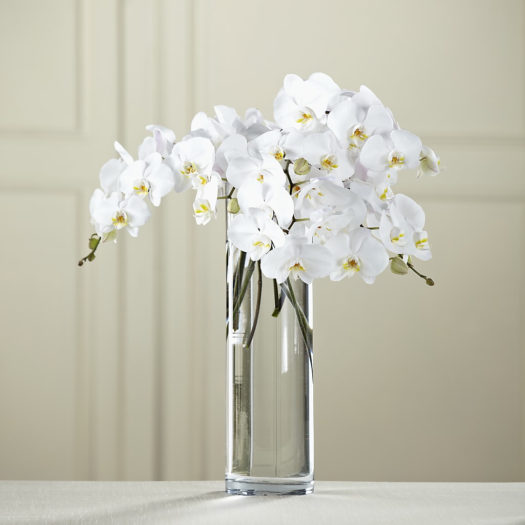 White Phalaenopsis Bouquet – Kiss Floral Llc, Claymont DE