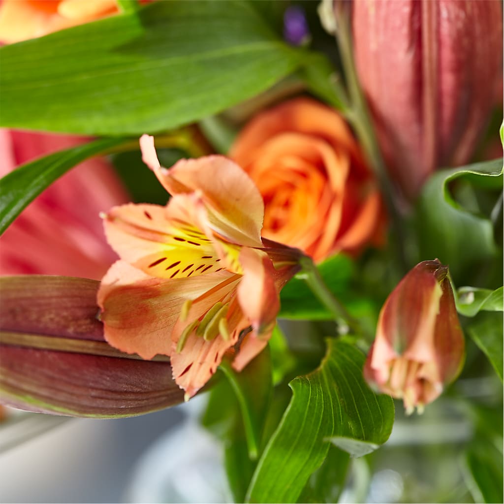 Bold & Bright – A Florist Original –  Kiss Floral Llc, Claymont DE