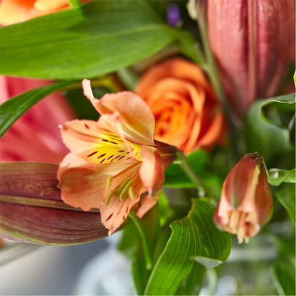 Bold & Bright – A Florist Original –  Kiss Floral Llc, Claymont DE