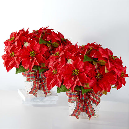 Happiest Holidays Poinsettia Bundle –  Kiss Floral Llc, Claymont DE