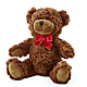 Adorable Plush Bear –  Kiss Floral Llc, Claymont DE