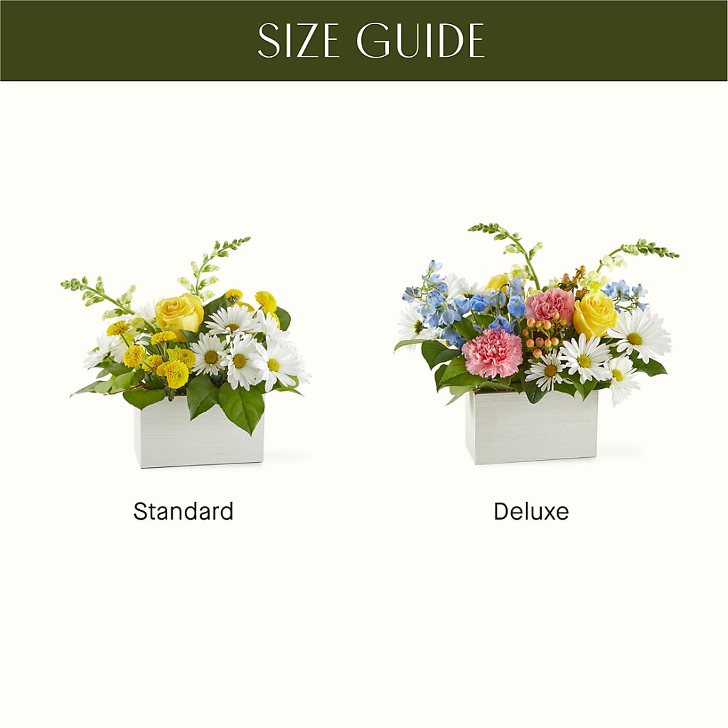 Sun Salutation Box Bouquet –  Kiss Floral Llc, Claymont DE