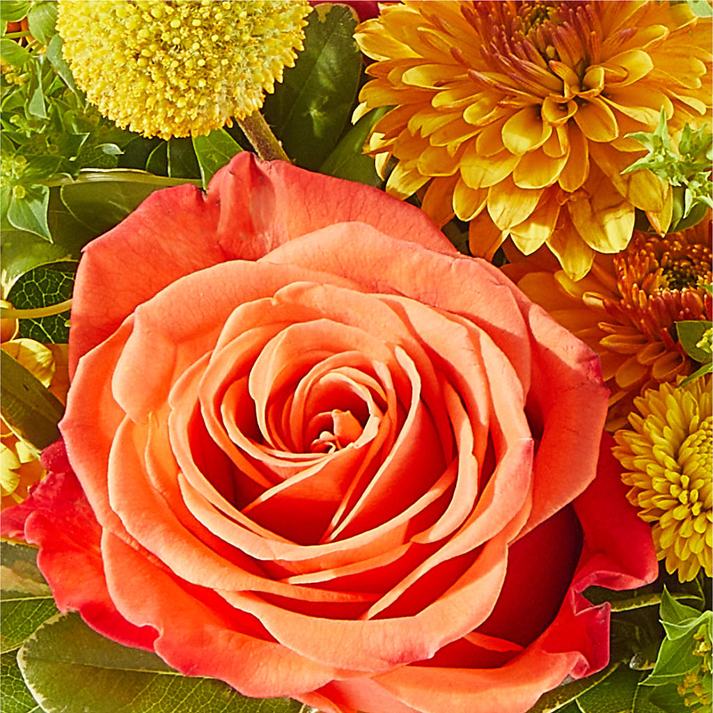Gourdgeous Pumpkin –  Kiss Floral Llc, Claymont DE