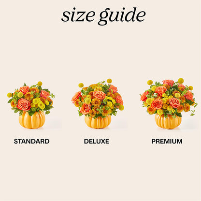 Gourdgeous Pumpkin –  Kiss Floral Llc, Claymont DE