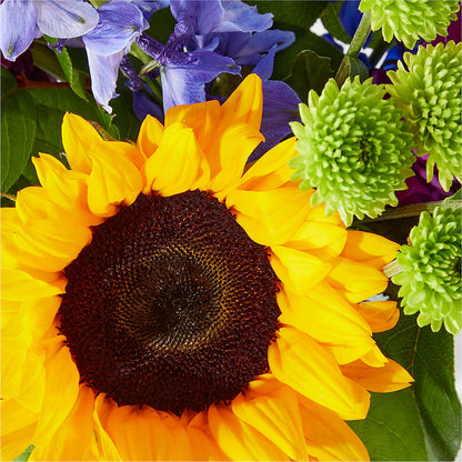 Catching Rays Bouquet –  Kiss Floral Llc, Claymont DE