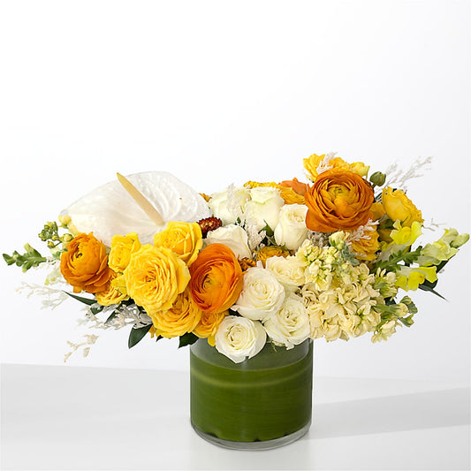 The Optimist –  Kiss Floral Llc, Claymont DE