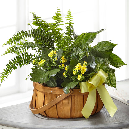 Always Dear Dishgarden –  Kiss Floral Llc, Claymont DE