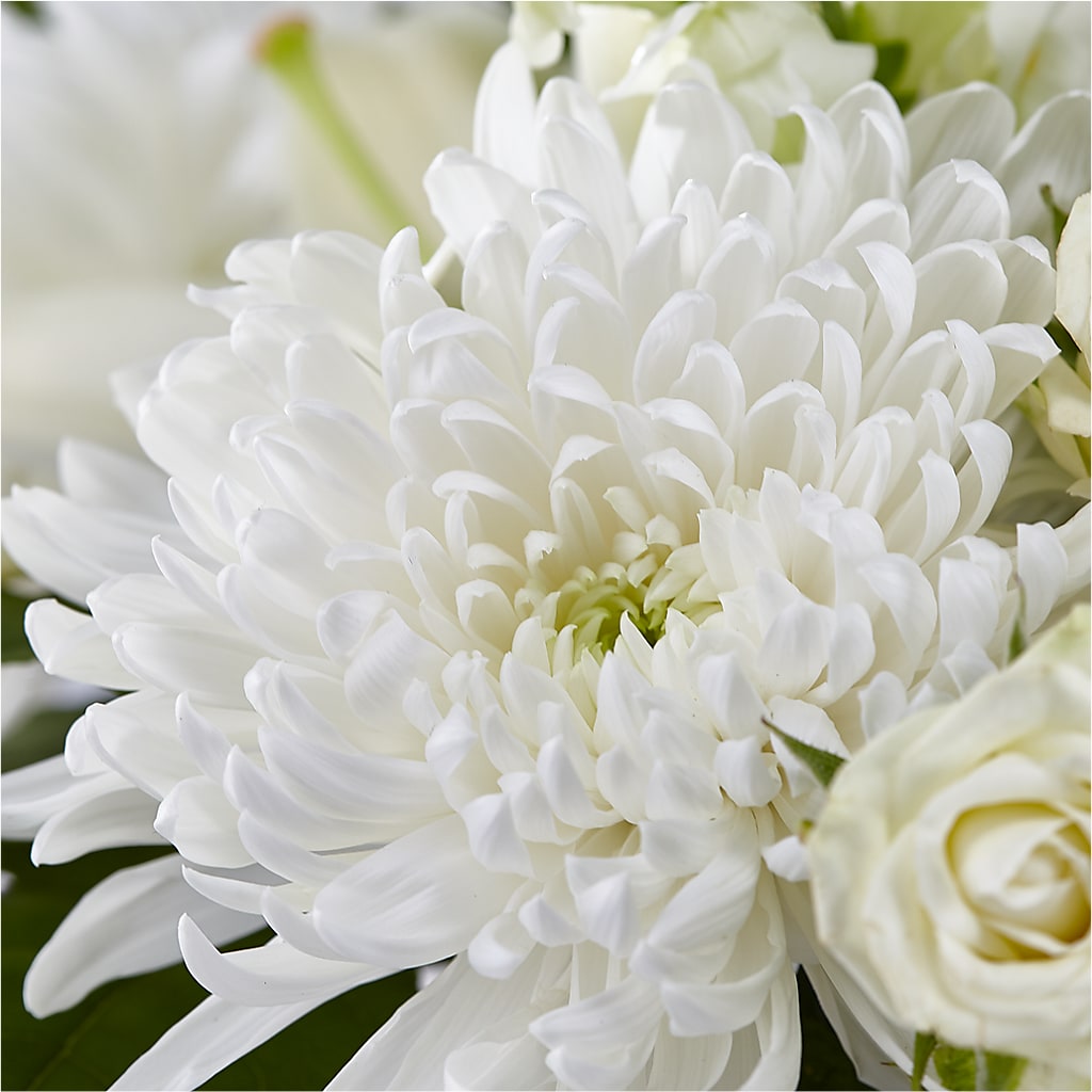 Classic Ivory – A Florist Original –  Kiss Floral Llc, Claymont DE