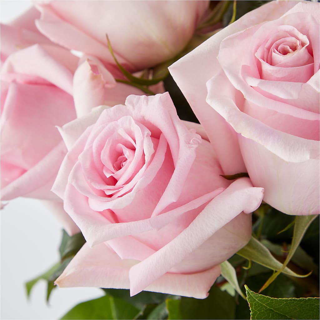 Picture Perfect Pink Rose Bouquet –  Kiss Floral Llc, Claymont DE