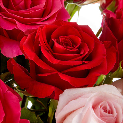Love Notes Rose Bouquet –  Kiss Floral Llc, Claymont DE