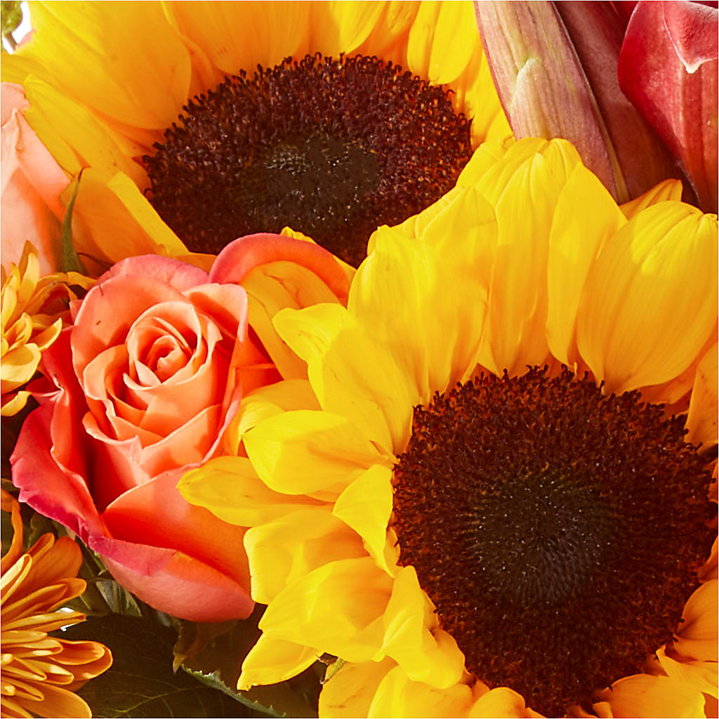 Acorn Lane Bouquet –  Kiss Floral Llc, Claymont DE