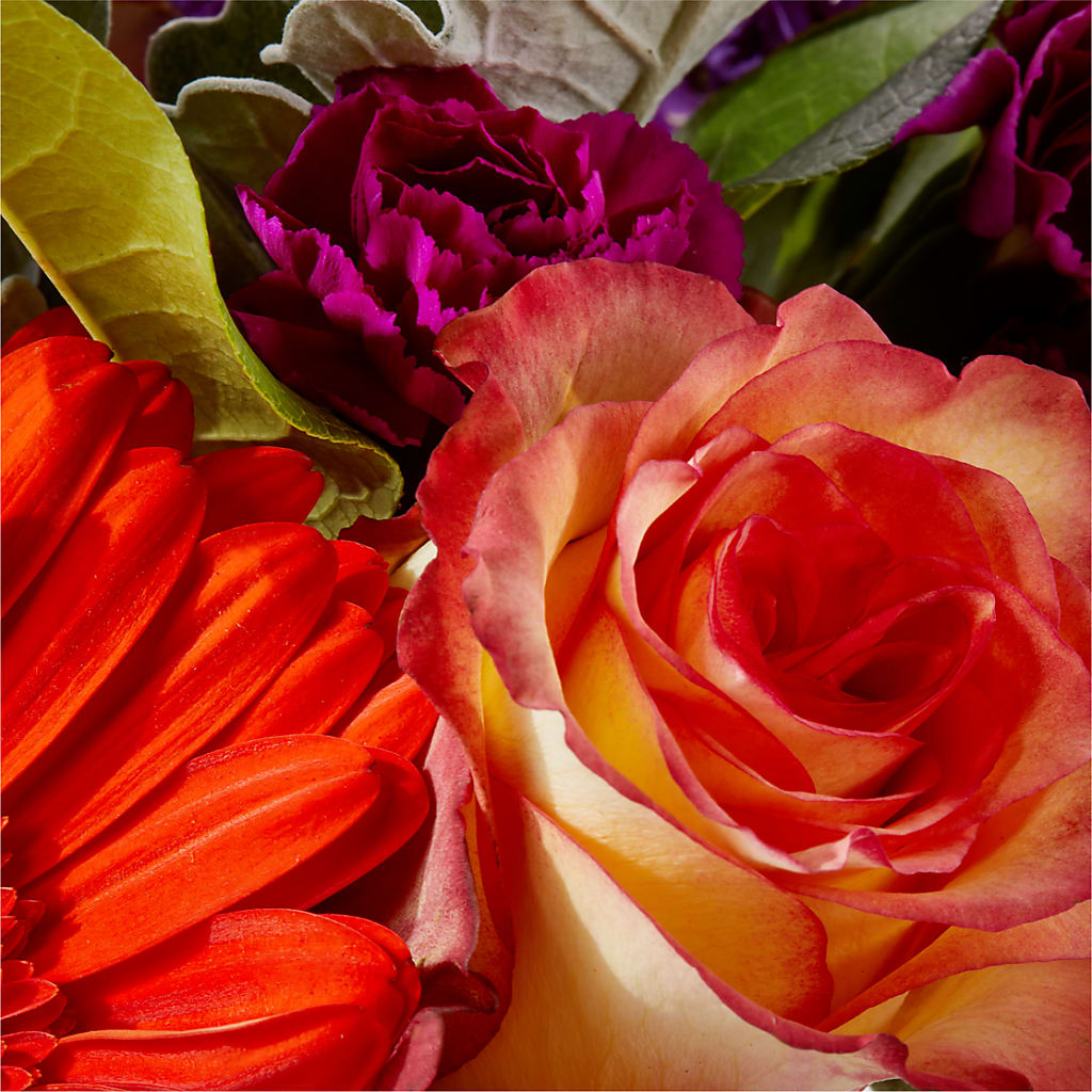 Sangria Bouquet –  Kiss Floral Llc, Claymont DE