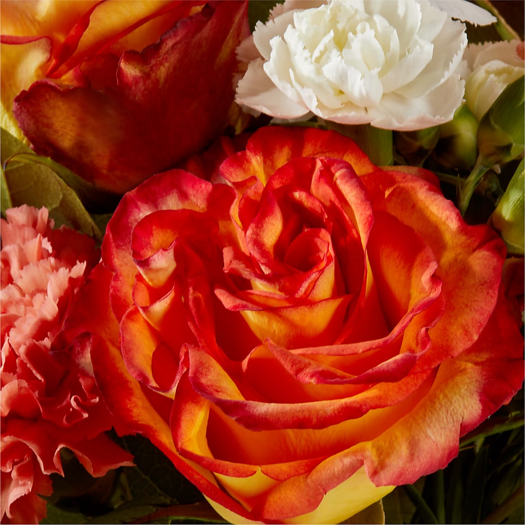 Apricot Glow Bouquet –  Kiss Floral Llc, Claymont DE