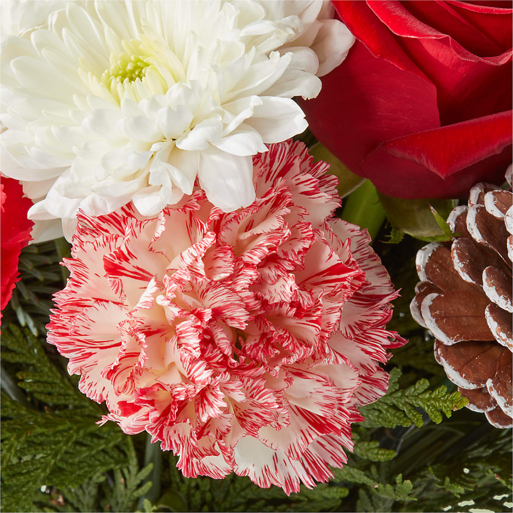Candy Cane Lane Bouquet –  Kiss Floral Llc, Claymont DE