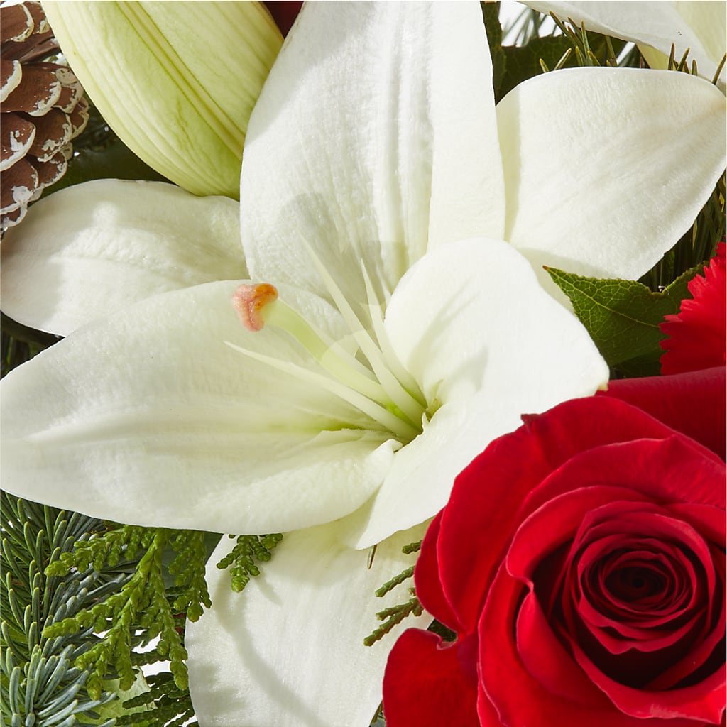 Oh So Jolly Bouquet –  Kiss Floral Llc, Claymont DE
