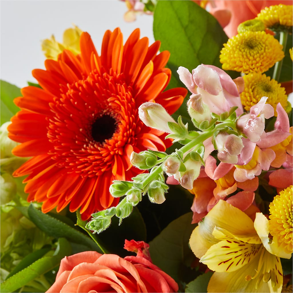 Autumn Sunshine Bouquet –  Kiss Floral Llc, Claymont DE