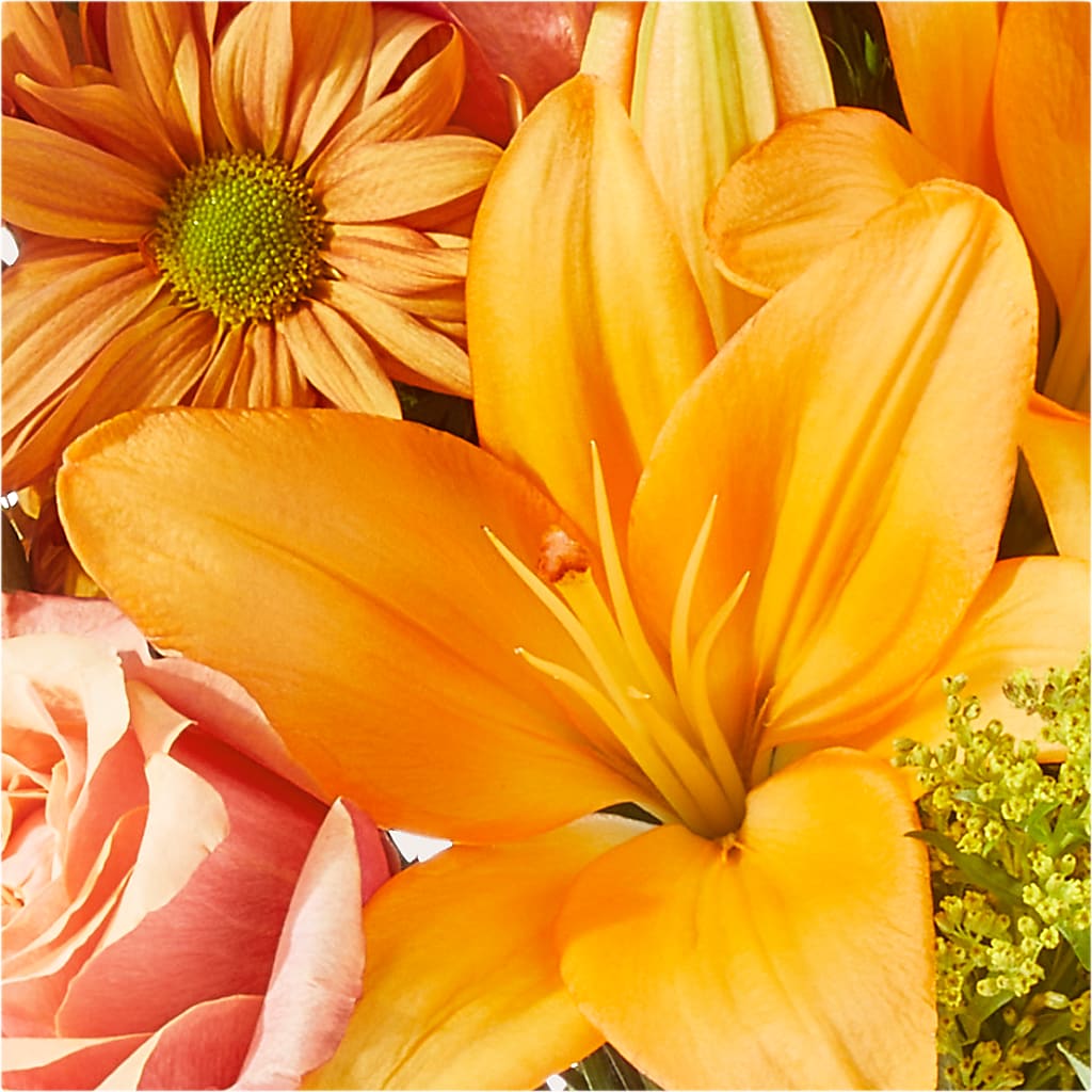 Harvest Hayride Bouquet –  Kiss Floral Llc, Claymont DE