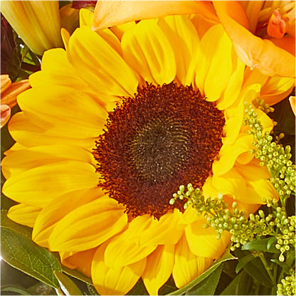 Seasons Change Bouquet –  Kiss Floral Llc, Claymont DE