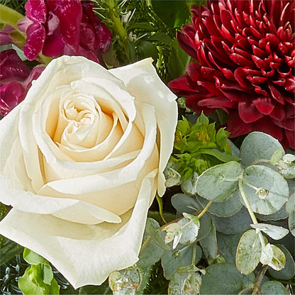 Cranberry Fizz Bouquet –  Kiss Floral Llc, Claymont DE