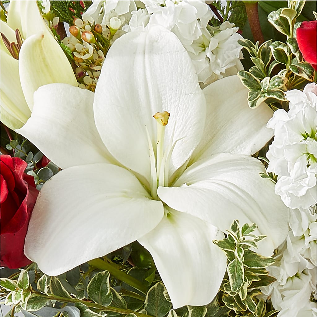 Twinkle Lights Bouquet –  Kiss Floral Llc, Claymont DE