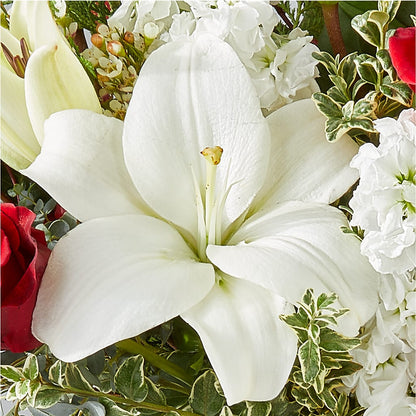 Twinkle Lights Bouquet –  Kiss Floral Llc, Claymont DE