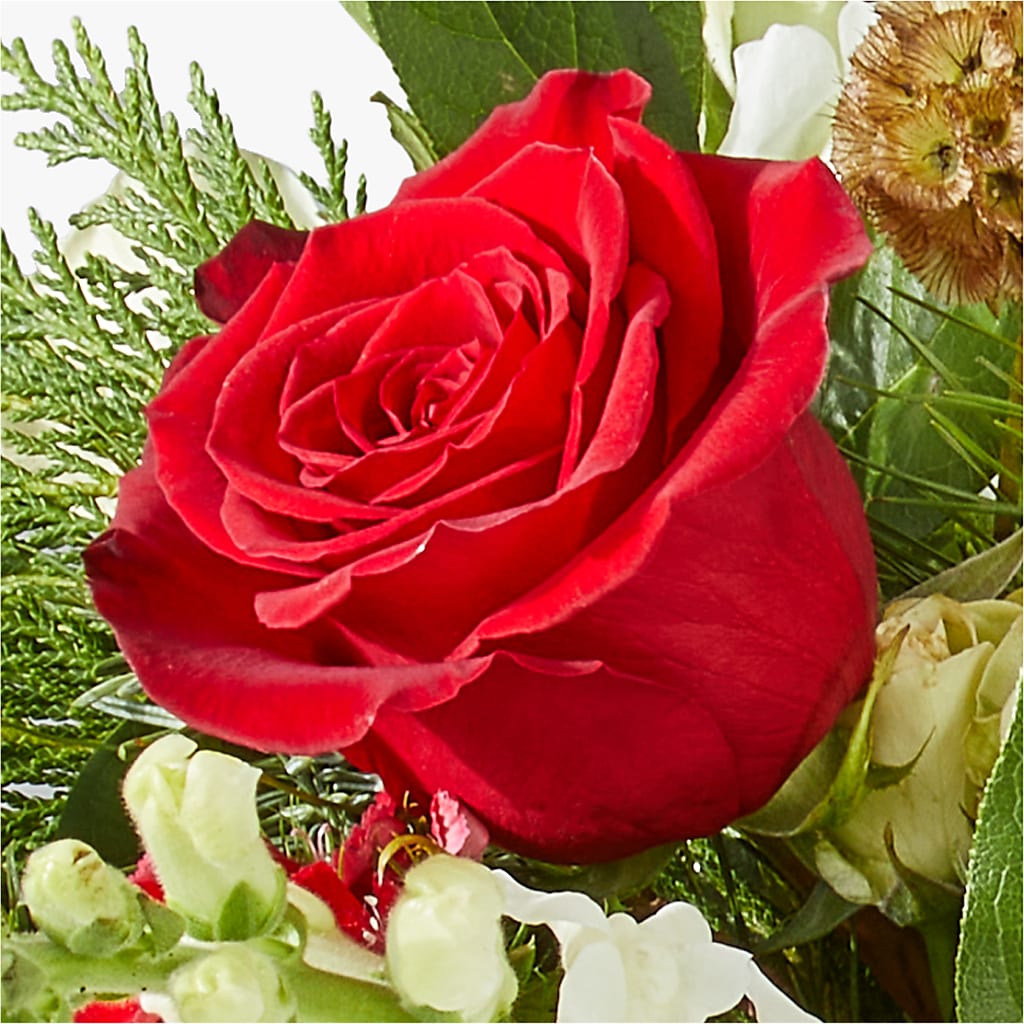 Deck the Halls Bouquet –  Kiss Floral Llc, Claymont DE