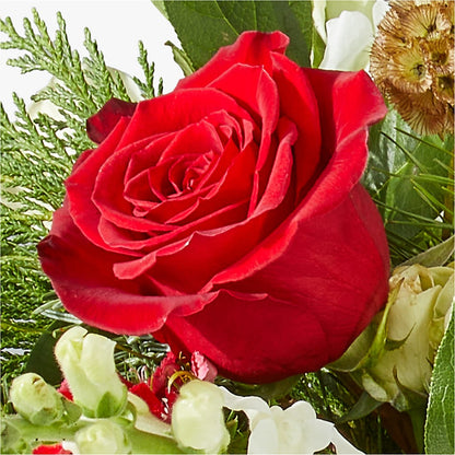 Deck the Halls Bouquet –  Kiss Floral Llc, Claymont DE