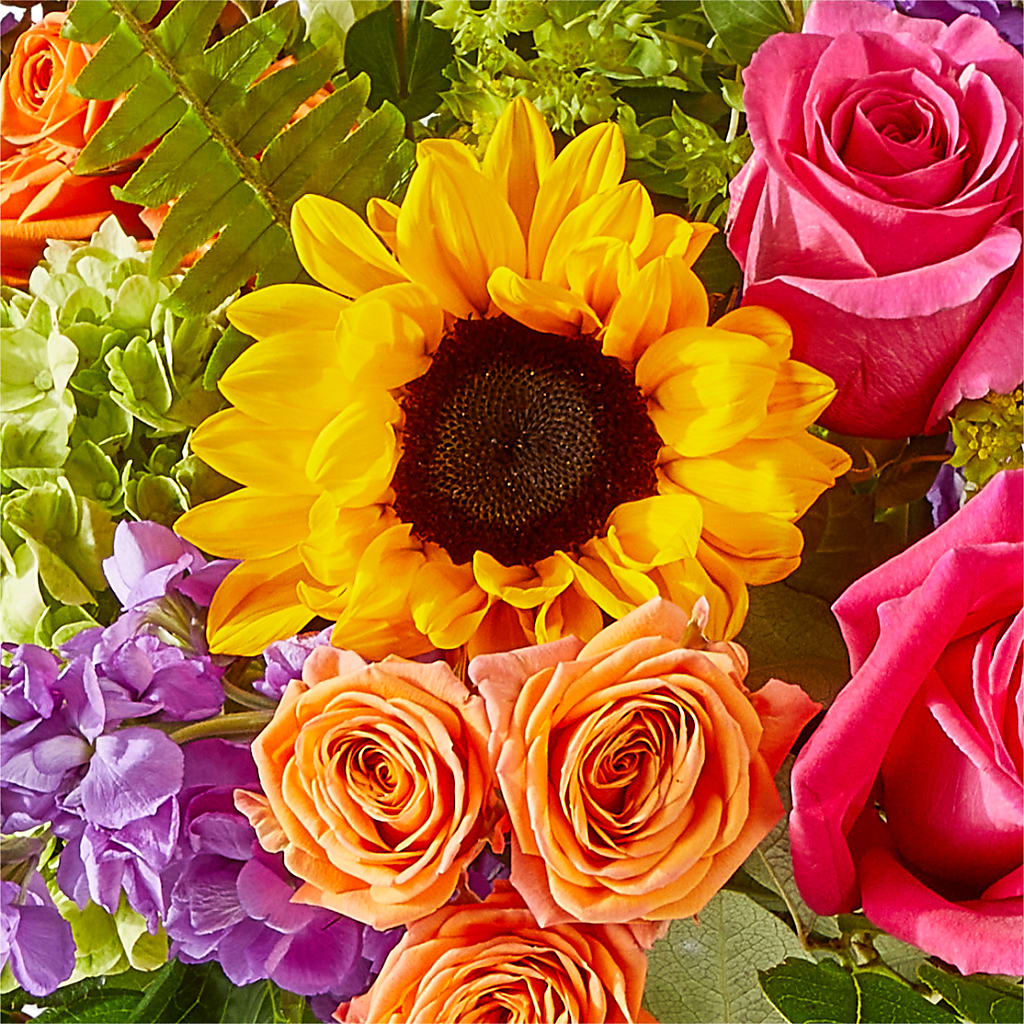 Vibrant Greetings Bouquet –  Kiss Floral Llc, Claymont DE