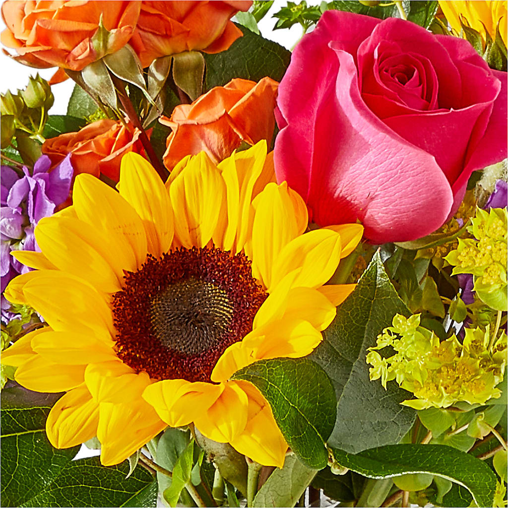 Vibrant Greetings Bouquet –  Kiss Floral Llc, Claymont DE