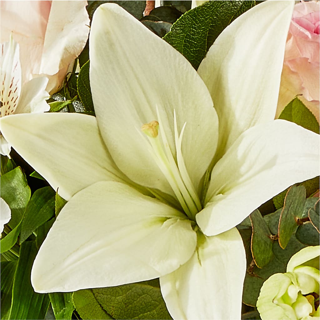 Ballet Slippers Bouquet –  Kiss Floral Llc, Claymont DE