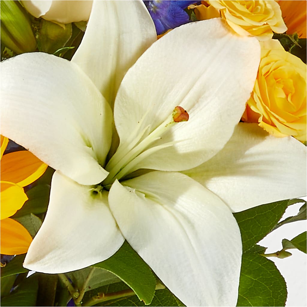Wonderfully Sunny Bouquet –  Kiss Floral Llc, Claymont DE