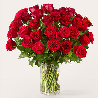 The One Red Rose Bouquet –  Kiss Floral Llc, Claymont DE