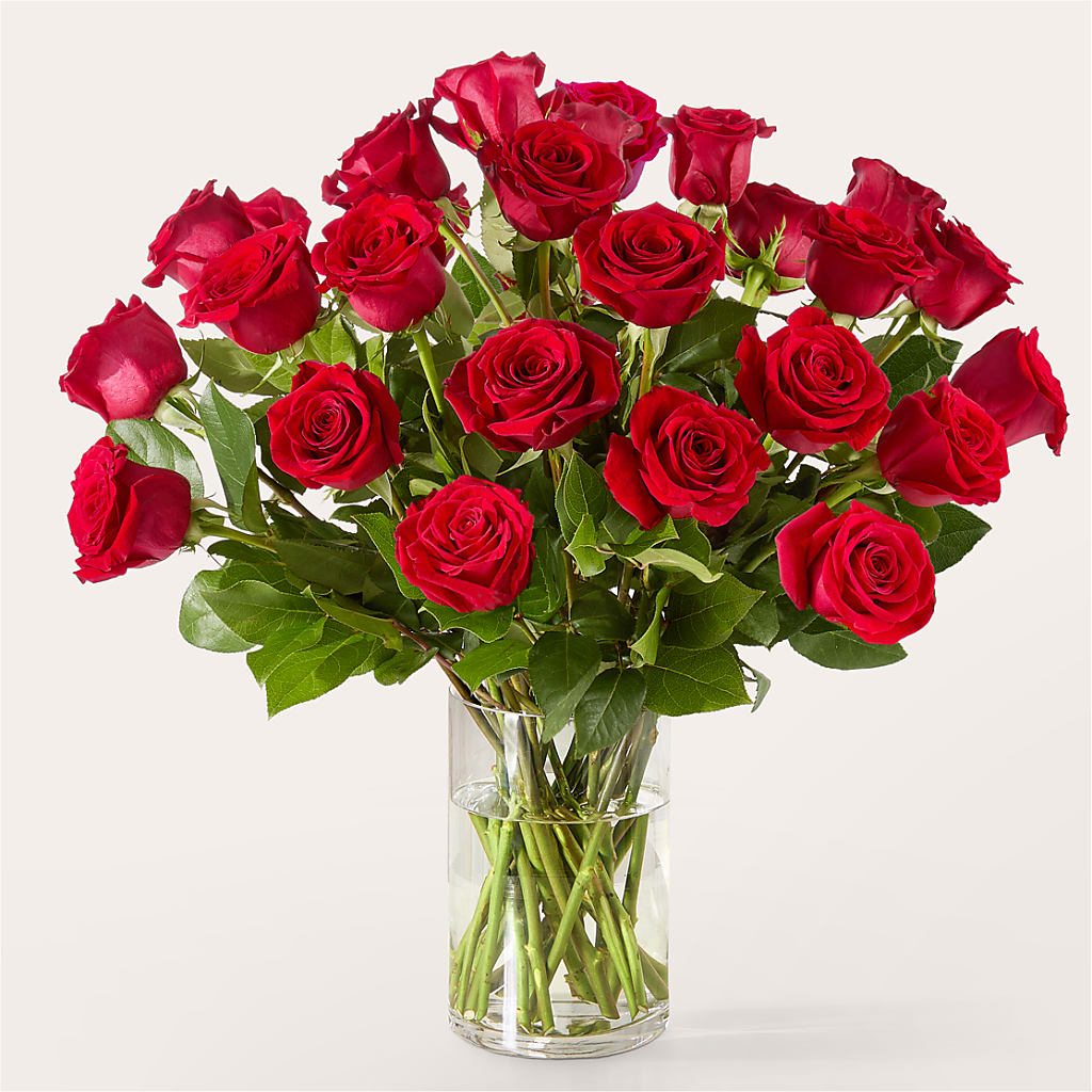 The One Red Rose Bouquet –  Kiss Floral Llc, Claymont DE