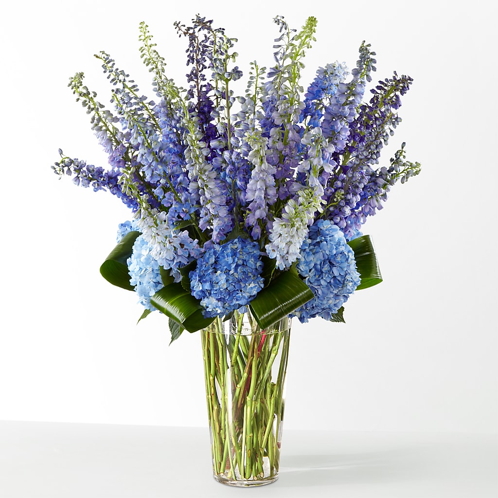 The Editorial –  Kiss Floral Llc, Claymont DE