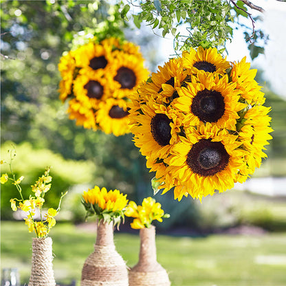 Sublime Garden Hanging Arrangement –  Kiss Floral Llc, Claymont DE