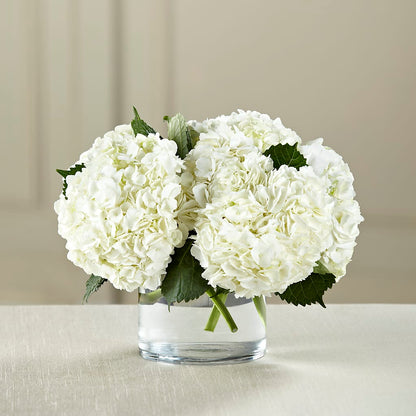 White Hydrangea Bouquet –  Kiss Floral Llc, Claymont DE
