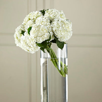 White Hydrangea Hand-Tied Bouquet –  Kiss Floral Llc, Claymont DE