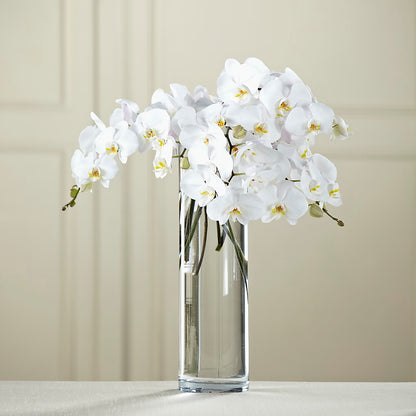 White Phalaenopsis Bouquet –  Kiss Floral Llc, Claymont DE